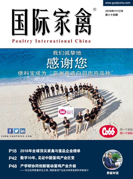 2019,我勸你多讀紙媒 你的閱讀造就了你