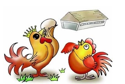 2015家禽業十件大事·年終盤點