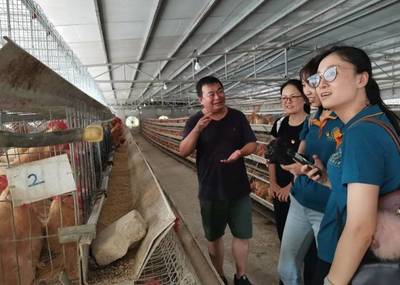 把科技旗幟插到基層!華南農業大學師生到封開助力鄉村振興!