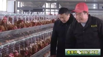靈璧林匯家禽育種:強化養殖場生物安全措施預防禽流感