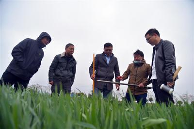 精心配置“科技大餐”直送田間地頭 湖北2000名專家“智”援春耕