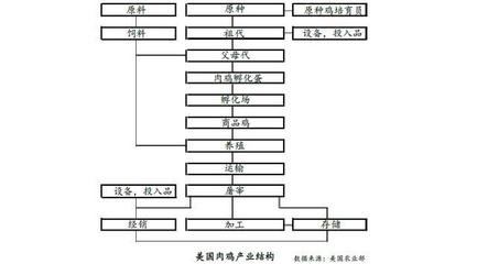看歐盟、巴西、美國肉雞產業現狀
