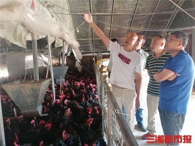 助力脫貧攻堅,湖南農業大學博士團送科技到武岡