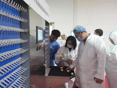我國首臺種雞性能智能測定系統投入應用